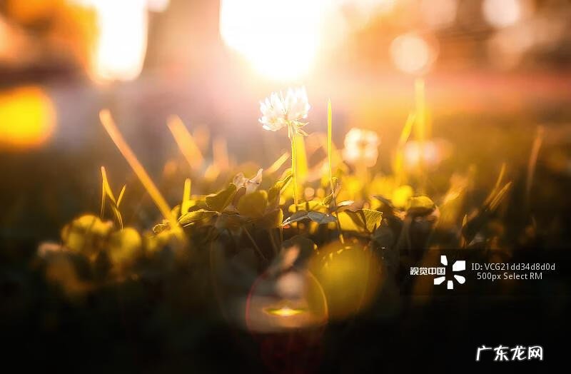 做一个感恩的人演讲稿 关于感恩的演讲稿怎么写