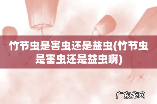 竹节虫是害虫还是益虫啊 竹节虫是害虫还是益虫