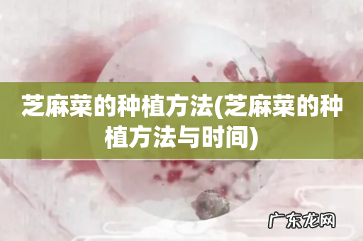 芝麻菜的种植方法与时间 芝麻菜的种植方法