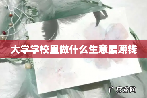大学学校里做什么生意最赚钱