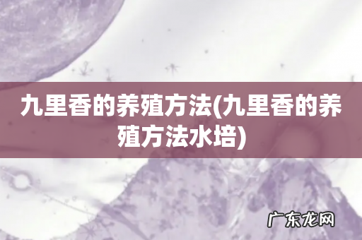 九里香的养殖方法水培 九里香的养殖方法