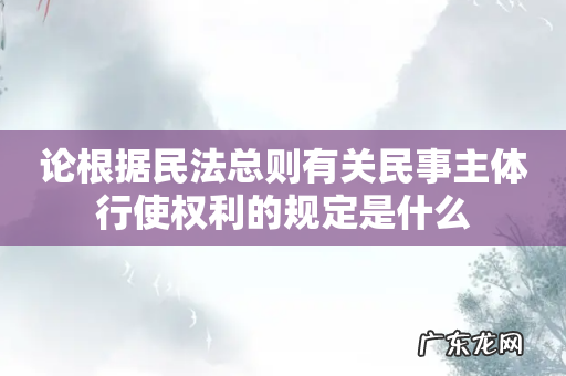 论根据民法总则有关民事主体行使权利的规定是什么