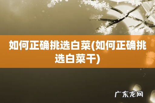 如何正确挑选白菜干 如何正确挑选白菜