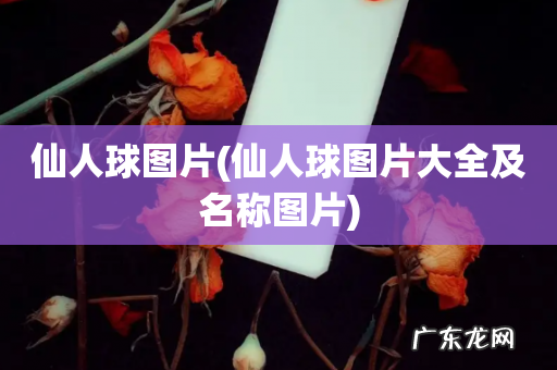 仙人球图片大全及名称图片 仙人球图片