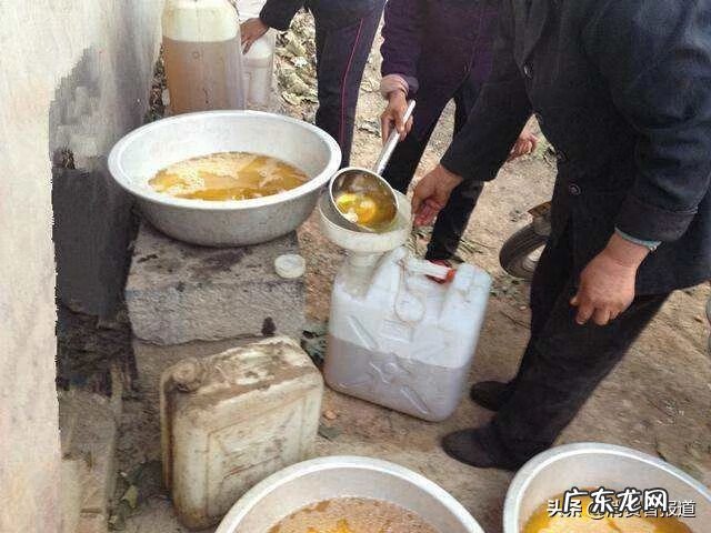 胡姬花生油 胡姬花花生油价格多少