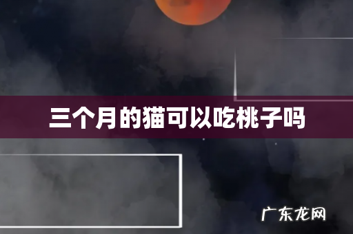三个月的猫可以吃桃子吗