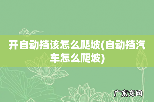自动挡汽车怎么爬坡 开自动挡该怎么爬坡