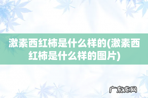激素西红柿是什么样的图片 激素西红柿是什么样的
