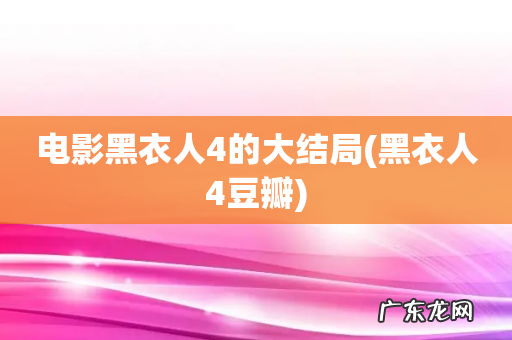 黑衣人4豆瓣 电影黑衣人4的大结局