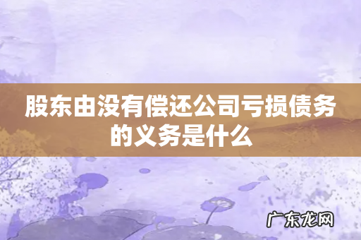 股东由没有偿还公司亏损债务的义务是什么