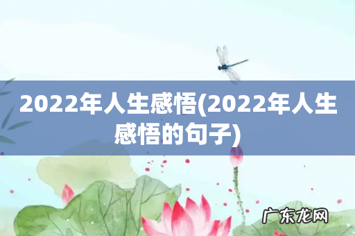 2022年人生感悟的句子 2022年人生感悟