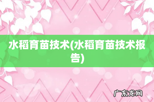 水稻育苗技术报告 水稻育苗技术