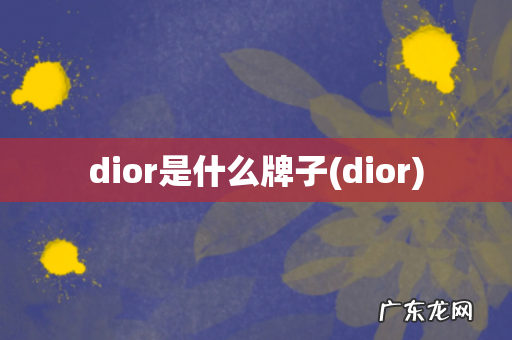 dior dior是什么牌子