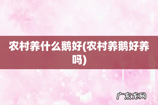 农村养鹅好养吗 农村养什么鹅好