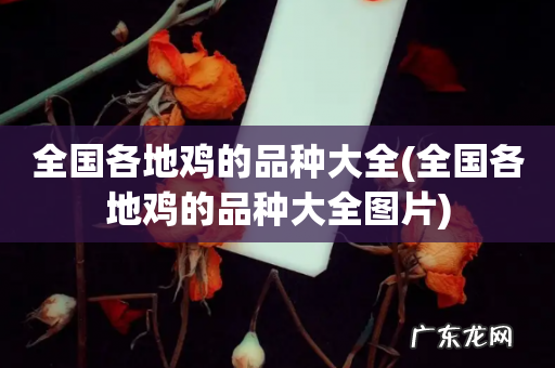 全国各地鸡的品种大全图片 全国各地鸡的品种大全