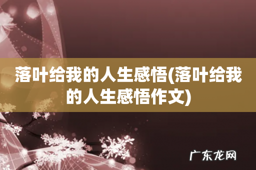 落叶给我的人生感悟作文 落叶给我的人生感悟