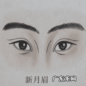 男士风水眉毛话术 男士眉形风水