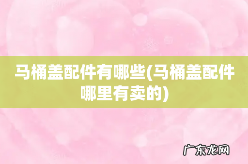 马桶盖配件哪里有卖的 马桶盖配件有哪些