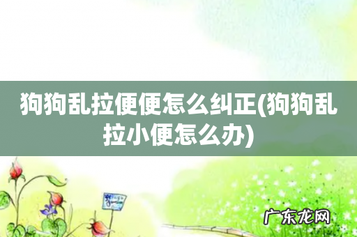 狗狗乱拉小便怎么办 狗狗乱拉便便怎么纠正