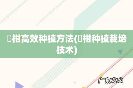 枖柑种植栽培技术 椪柑高效种植方法