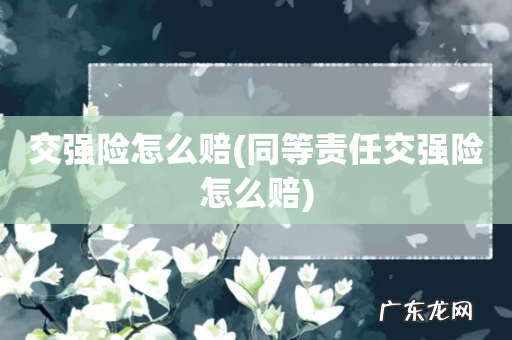 同等责任交强险怎么赔 交强险怎么赔