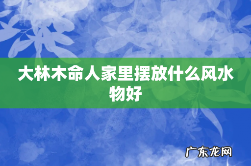 大林木命人家里摆放什么风水物好
