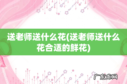 送老师送什么花合适的鲜花 送老师送什么花