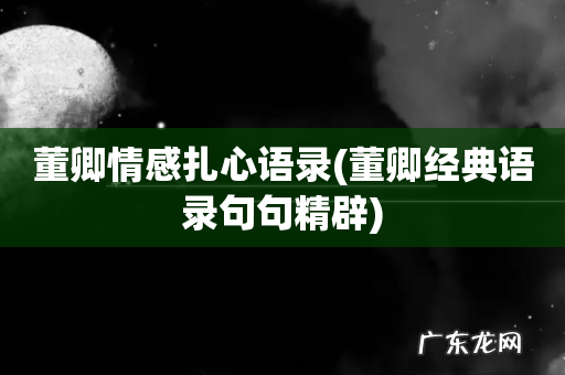 董卿经典语录句句精辟 董卿情感扎心语录