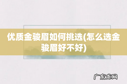 怎么选金骏眉好不好 优质金骏眉如何挑选