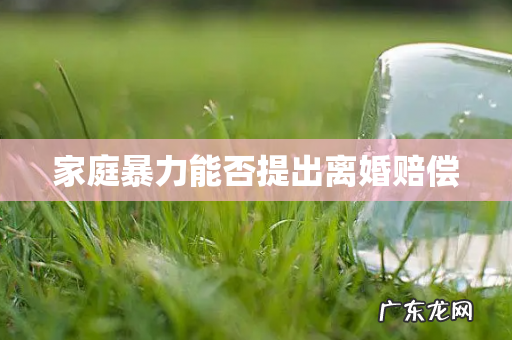 家庭暴力能否提出离婚赔偿