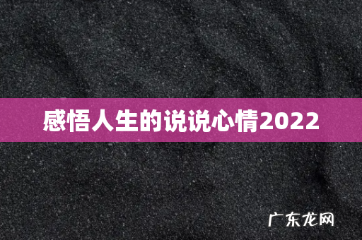 感悟人生的说说心情2022