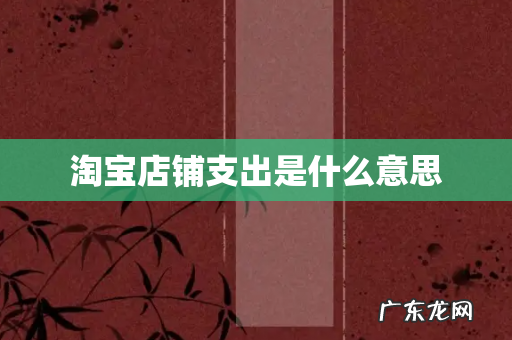 淘宝店铺支出是什么意思