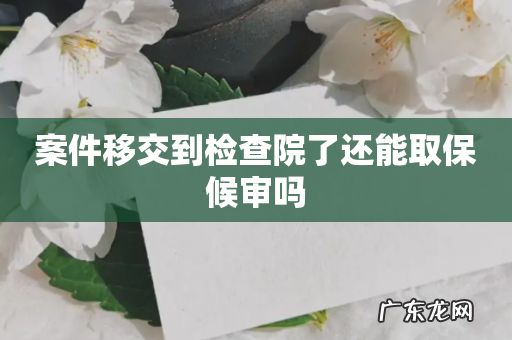 案件移交到检查院了还能取保候审吗