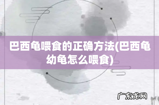 巴西龟幼龟怎么喂食 巴西龟喂食的正确方法