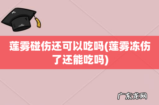 莲雾冻伤了还能吃吗 莲雾碰伤还可以吃吗