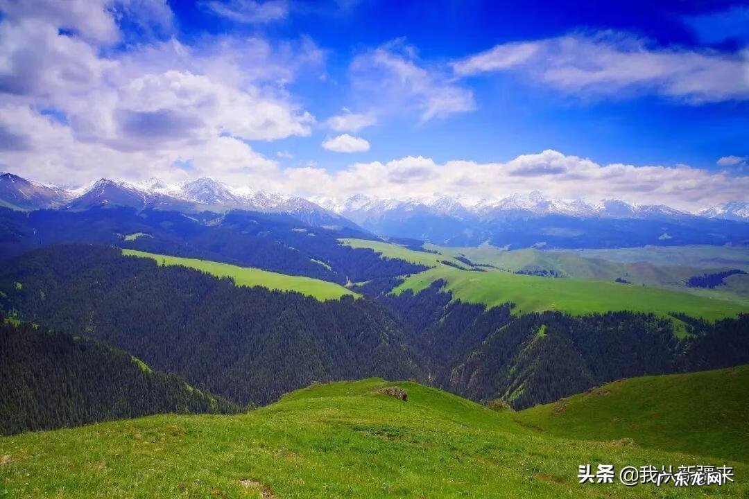 召唤师游戏 召唤师峡谷