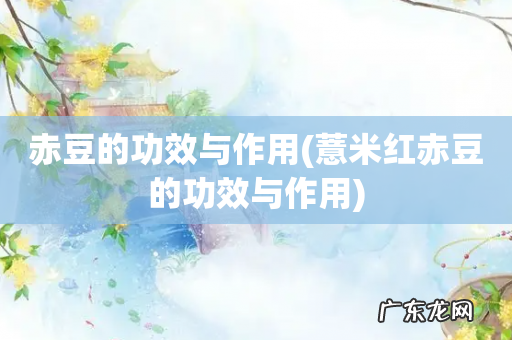 薏米红赤豆的功效与作用 赤豆的功效与作用