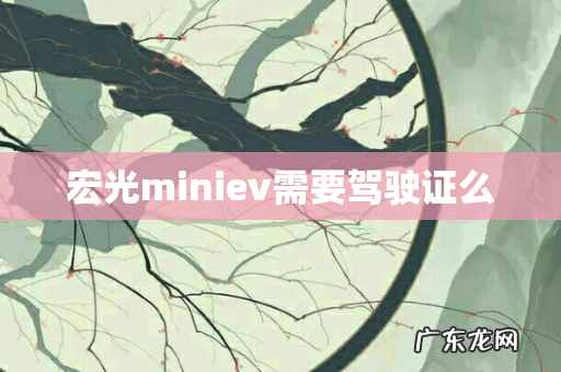 宏光miniev需要驾驶证么