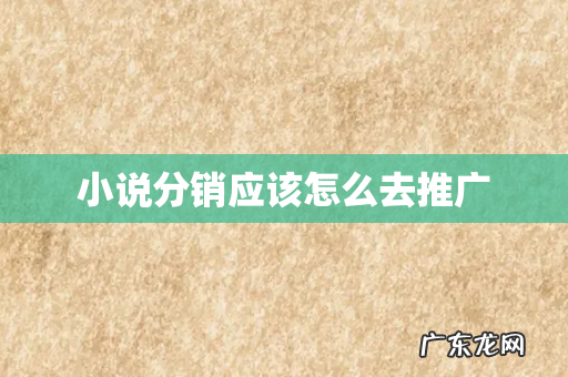 小说分销应该怎么去推广