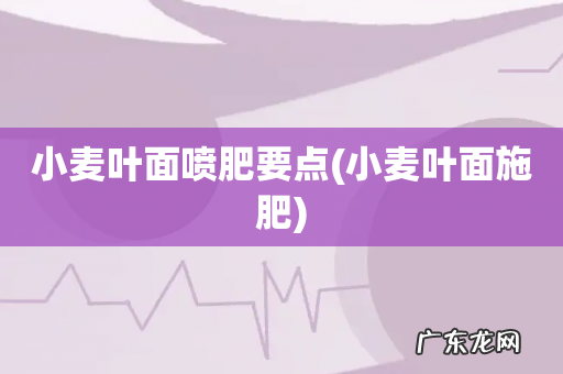 小麦叶面施肥 小麦叶面喷肥要点