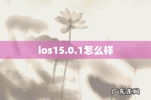 ios15.0.1怎么样
