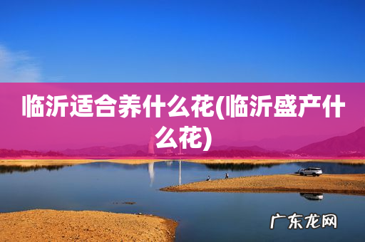 临沂盛产什么花 临沂适合养什么花