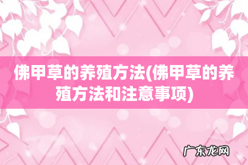 佛甲草的养殖方法和注意事项 佛甲草的养殖方法