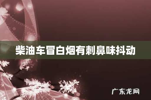 柴油车冒白烟有刺鼻味抖动