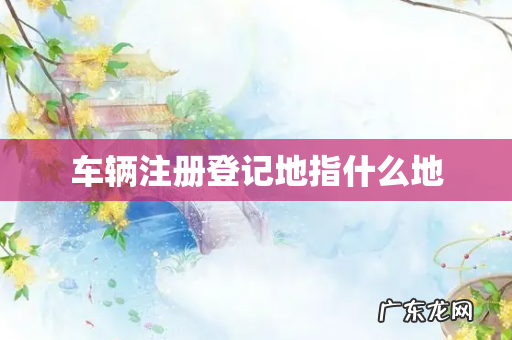 车辆注册登记地指什么地