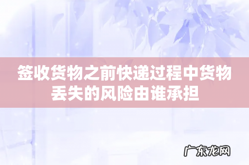 签收货物之前快递过程中货物丢失的风险由谁承担