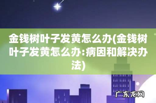 金钱树叶子发黄怎么办:病因和解决办法 金钱树叶子发黄怎么办