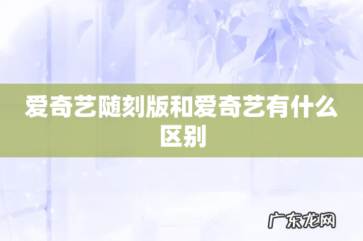 爱奇艺随刻版和爱奇艺有什么区别