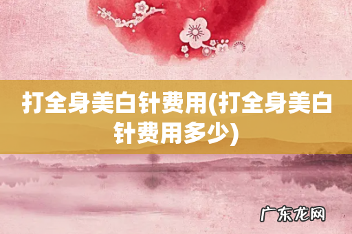 打全身美白针费用多少 打全身美白针费用