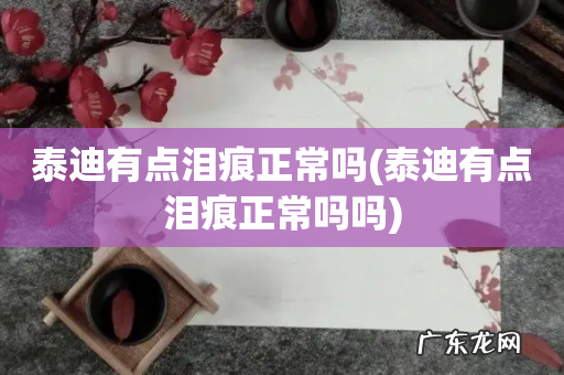 泰迪有点泪痕正常吗吗 泰迪有点泪痕正常吗